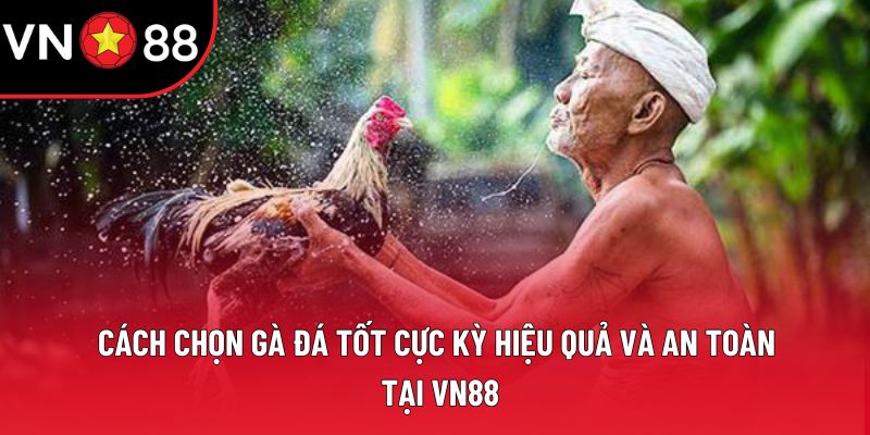 Cách Chọn Gà Đá Tốt Cực Kỳ Hiệu Quả Và An Toàn Tại VN88