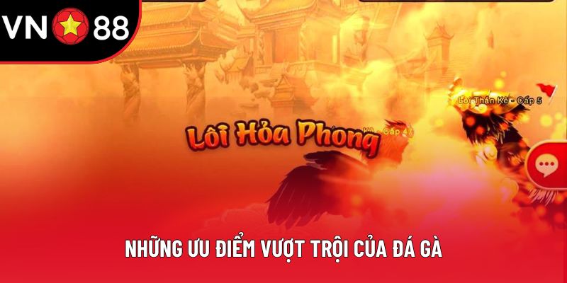 Những ưu điểm vượt trội của đá gà
