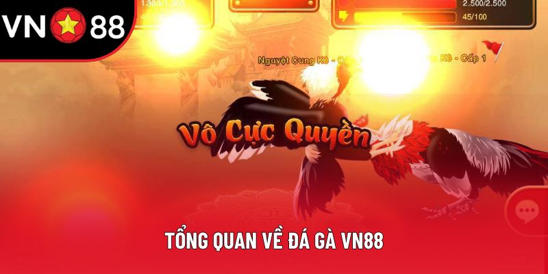 Tổng quan về đá gà VN88 Tổng quan về đá gà VN88
