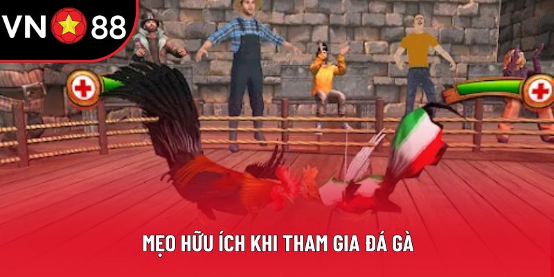 Mẹo hữu ích khi tham gia đá gà