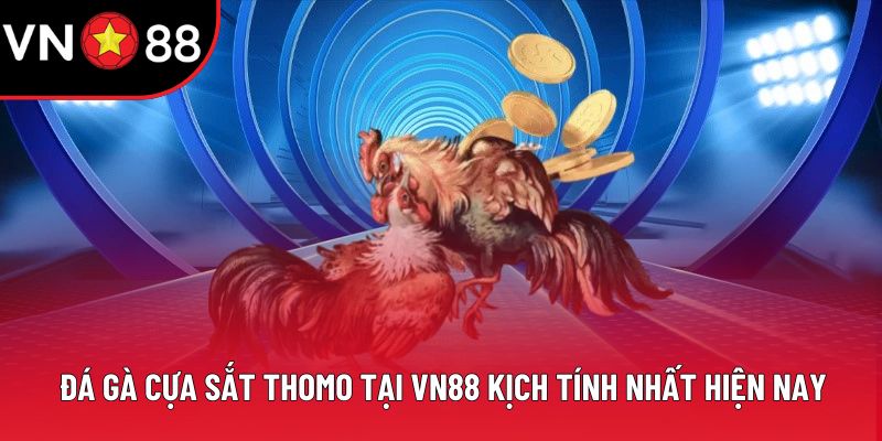 Đá Gà Cựa Sắt Thomo Tại VN88 Kịch Tính Nhất Hiện Nay