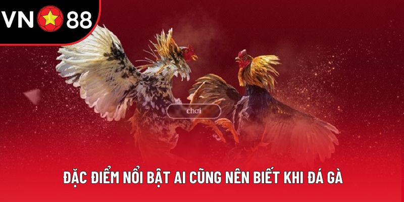 Đặc điểm nổi bật ai cũng nên biết khi đá gà