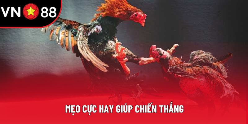 Mẹo cực hay giúp chiến thắng