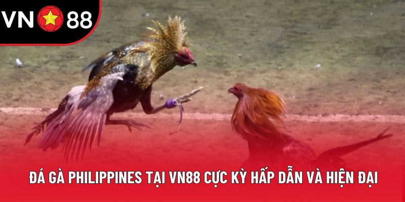 Đá Gà Philippines Tại VN88 Cực Kỳ Hấp Dẫn và Hiện Đại