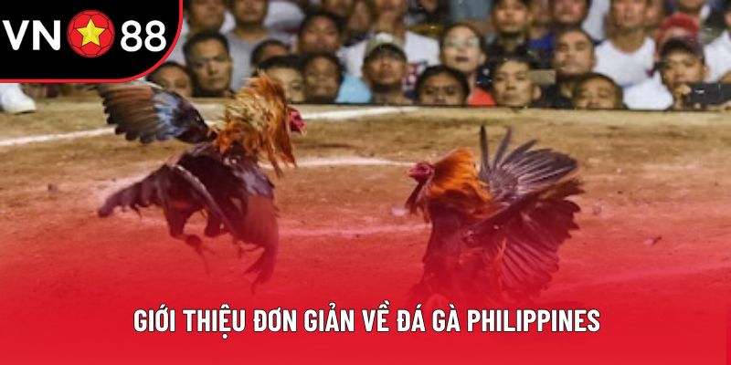 Giới thiệu đơn giản về đá gà Philippines